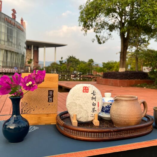 思茅云南古树白茶，香型丰富，茶汤纯净透亮。春茶茶料。
