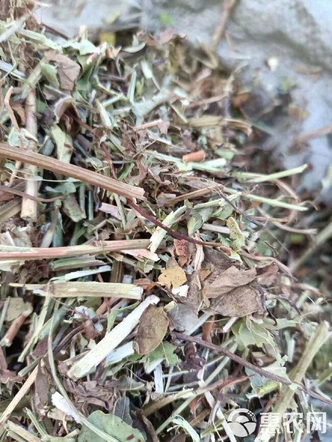 牛羊草料 小麦稻草玉米秸秆 青贮草料 花生秧