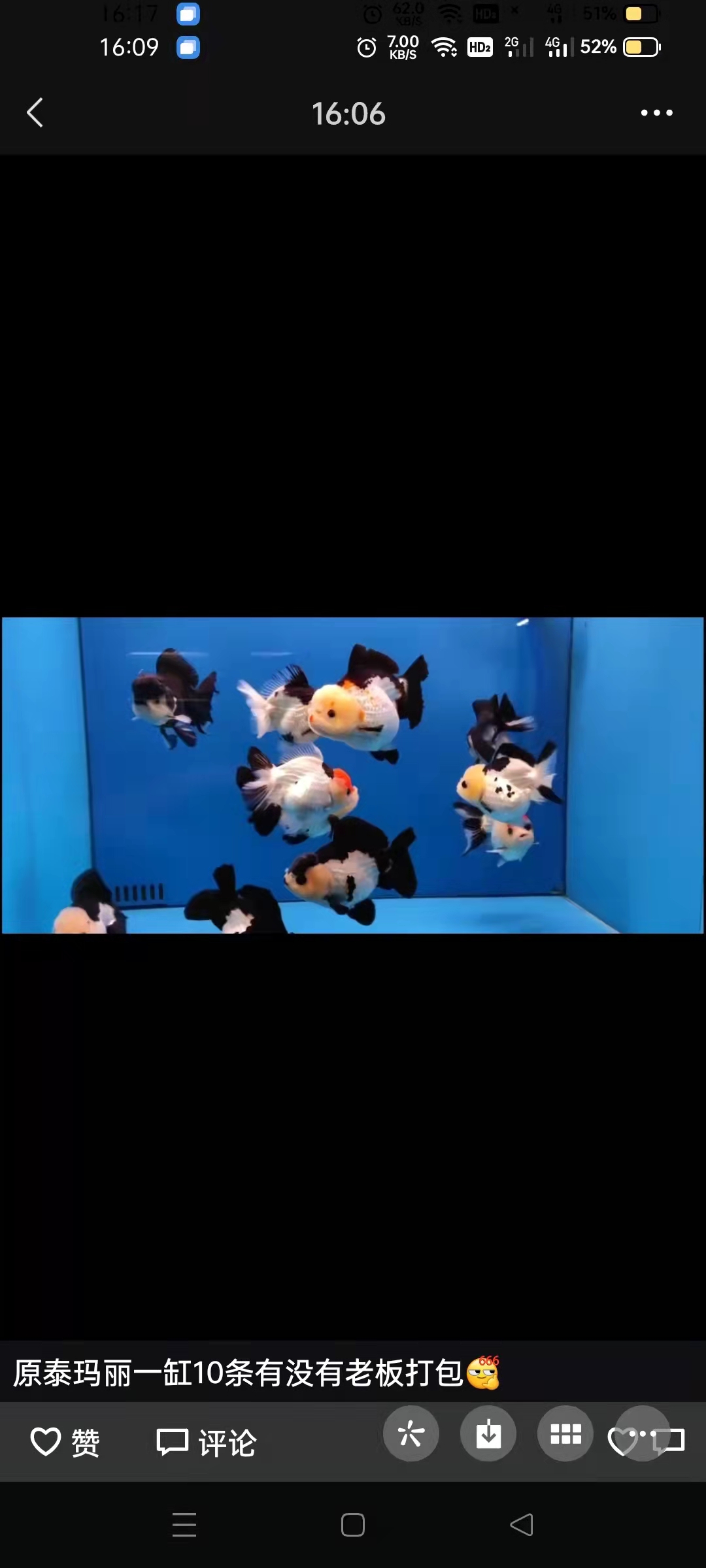 3Q逆流的魚