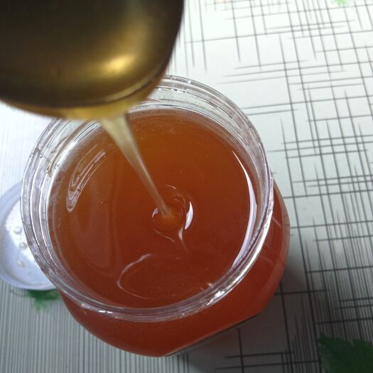 陇南土蜂蜜
