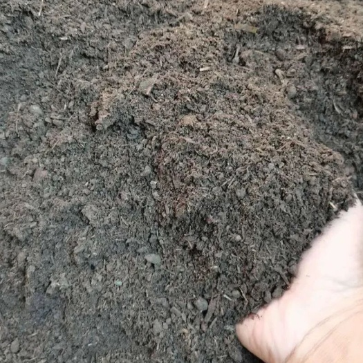 武汉有机肥蚯蚓粪大量出售