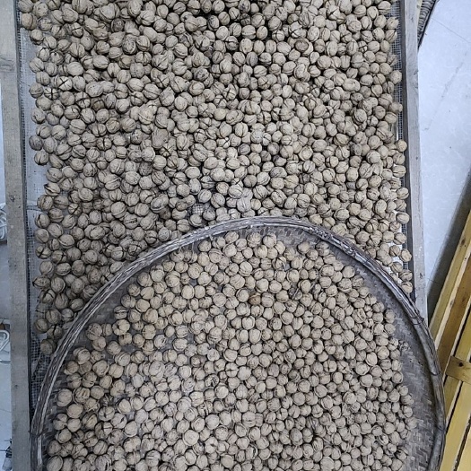 兴山县天然自家种植核桃，不添加任何激素