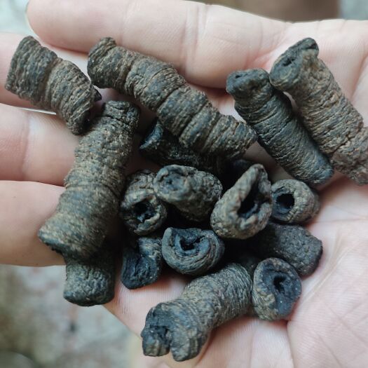 郁南县九蒸十晒自家农制中统巴戟干，可泡酒 煲汤 直接食用