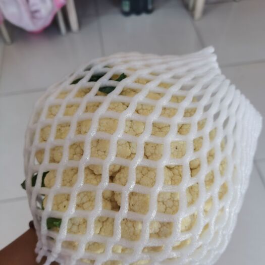 辛集市菜花网套30*10，每包400个，支持订做