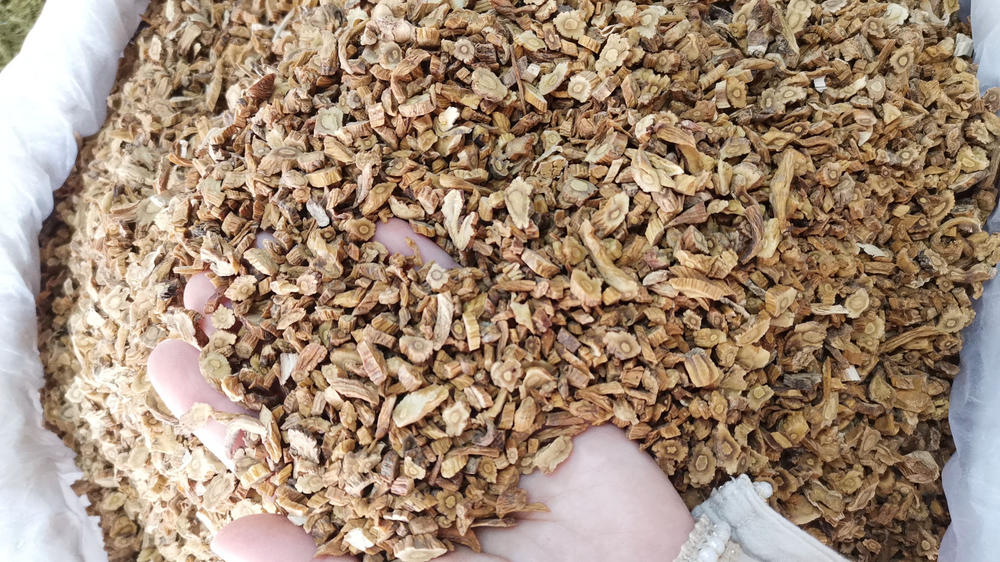 秦艽 批发秦艽规格齐全产地一手货源 可供大货价优