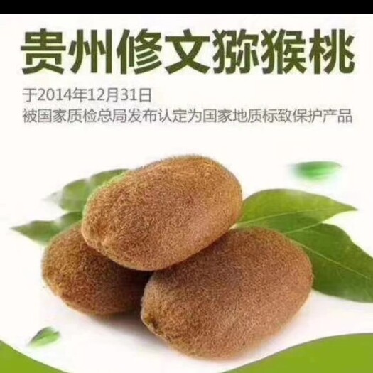 修文猕猴桃产于贵州省贵阳修文县，已成为当地的农业主要支柱产品