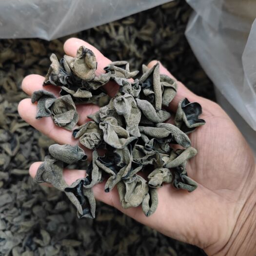 鲁山县东北黑木耳干货批发小碗耳秋木耳干货一件代发 可全国发货