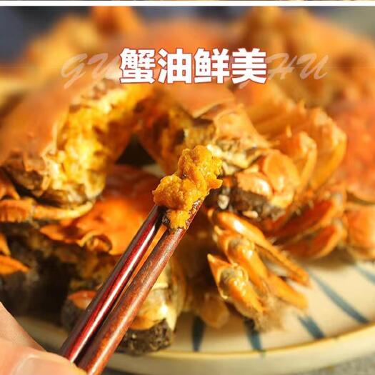 南京正宗固城湖大闸蟹一件代发，量大批发，产地直发