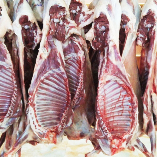 内江羊肉白条铜体