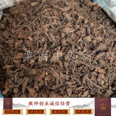 南丹县黑老虎枝叶干货