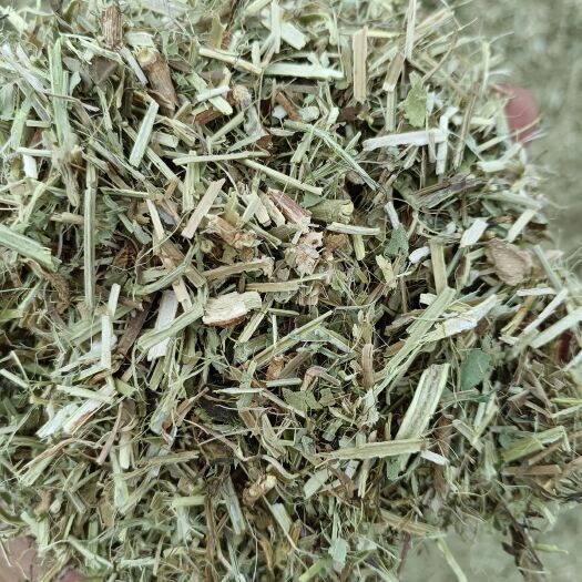 叶县优质花生秧