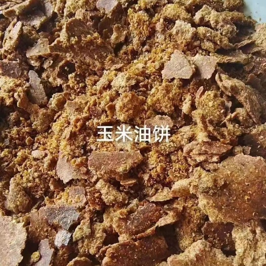 正定县玉米饼饲料  玉米油饼，脂肪15，蛋白15