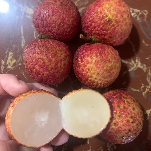 灵山县荔枝树苗嫁接无核荔枝苗带土带叶