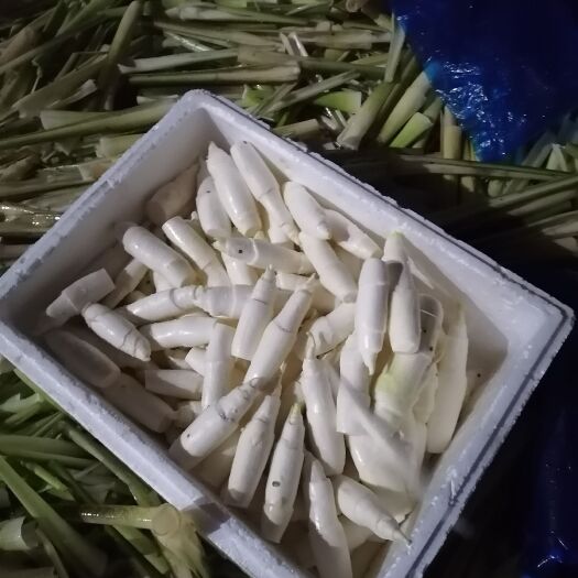 颍上县茭白