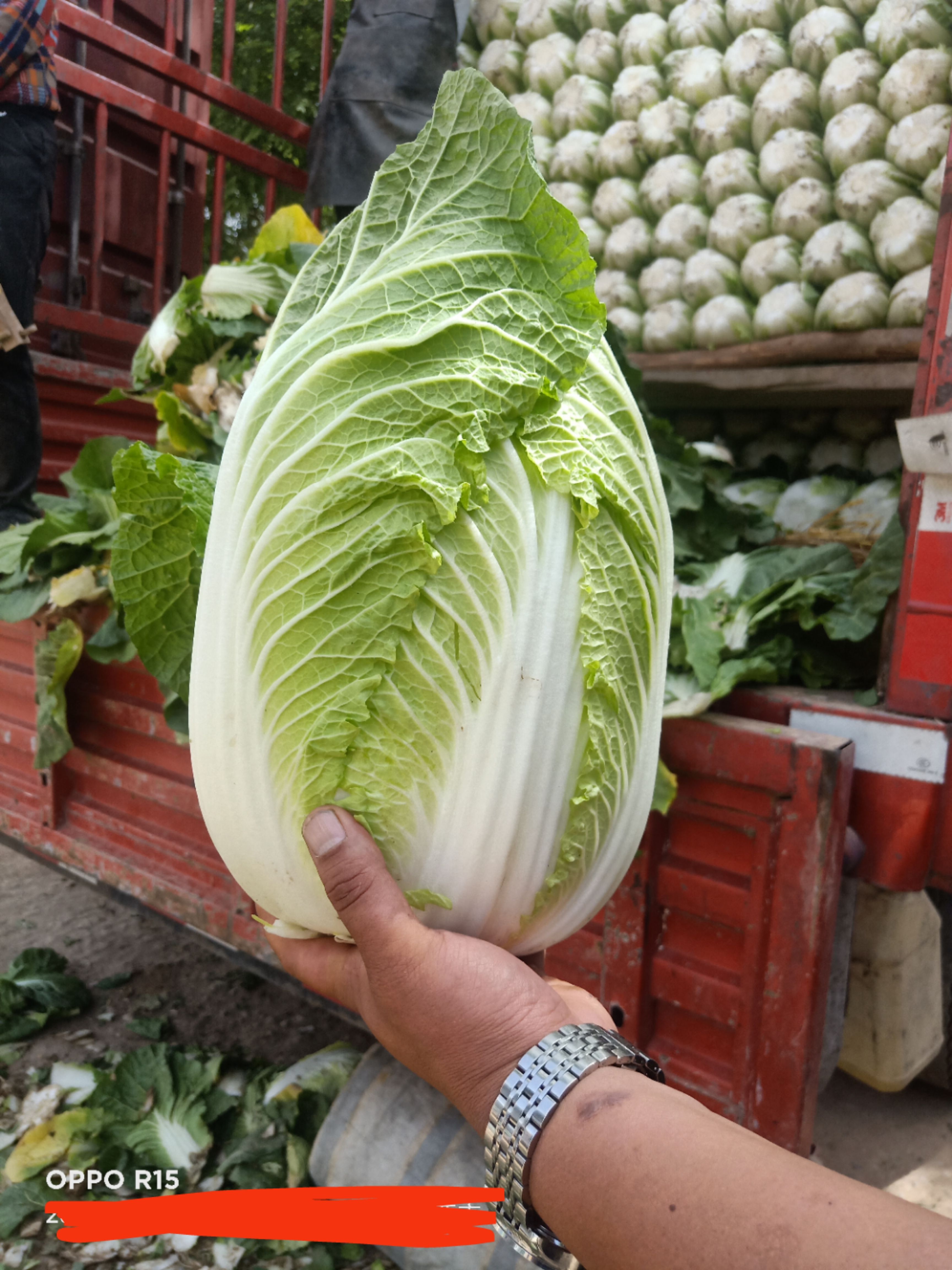 玲珑黄大白菜黄心白菜外叶浓绿、内叶鲜黄，口感鲜爽，营养价值高