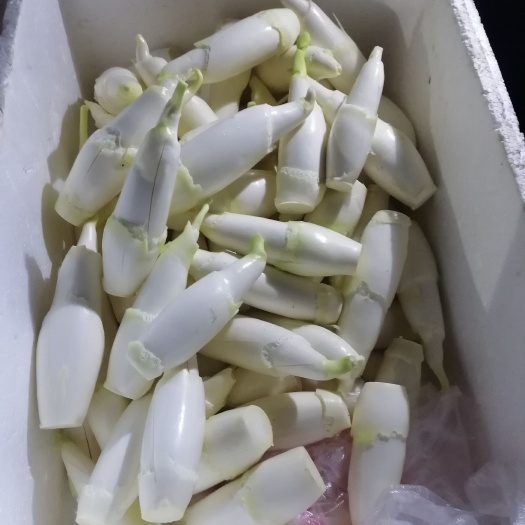 颍上县茭白