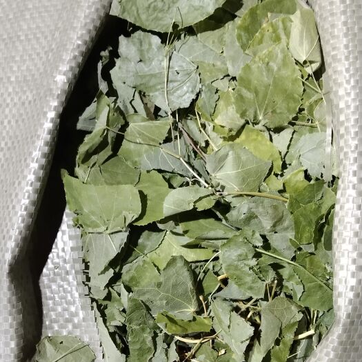 洛南县淫羊藿