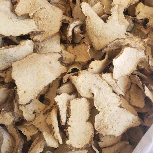 亳州萆薢 棉萆薢