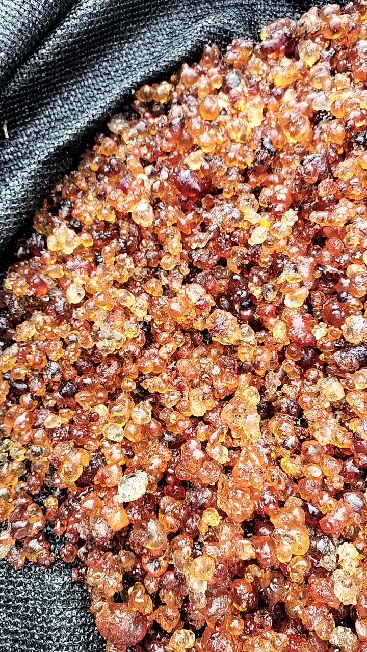 《爆款》桃胶，湖北产地直销水洗黄红胶，各种规格，可视频看货