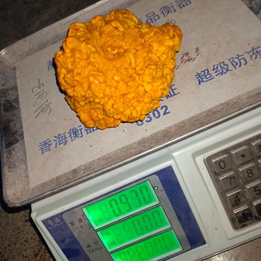 太康县金耳
