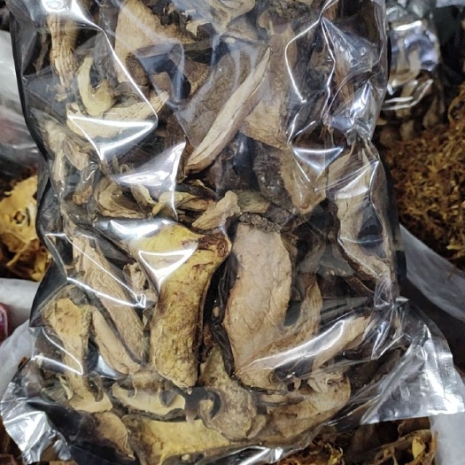 思茅云南野生牛肝菌