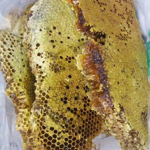 德保县土蜂蜜