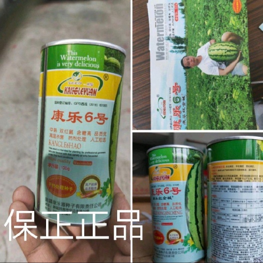 扶沟县金城五号西瓜种子  双红瓤红金城五号~早熟，抗病大果，果肉大