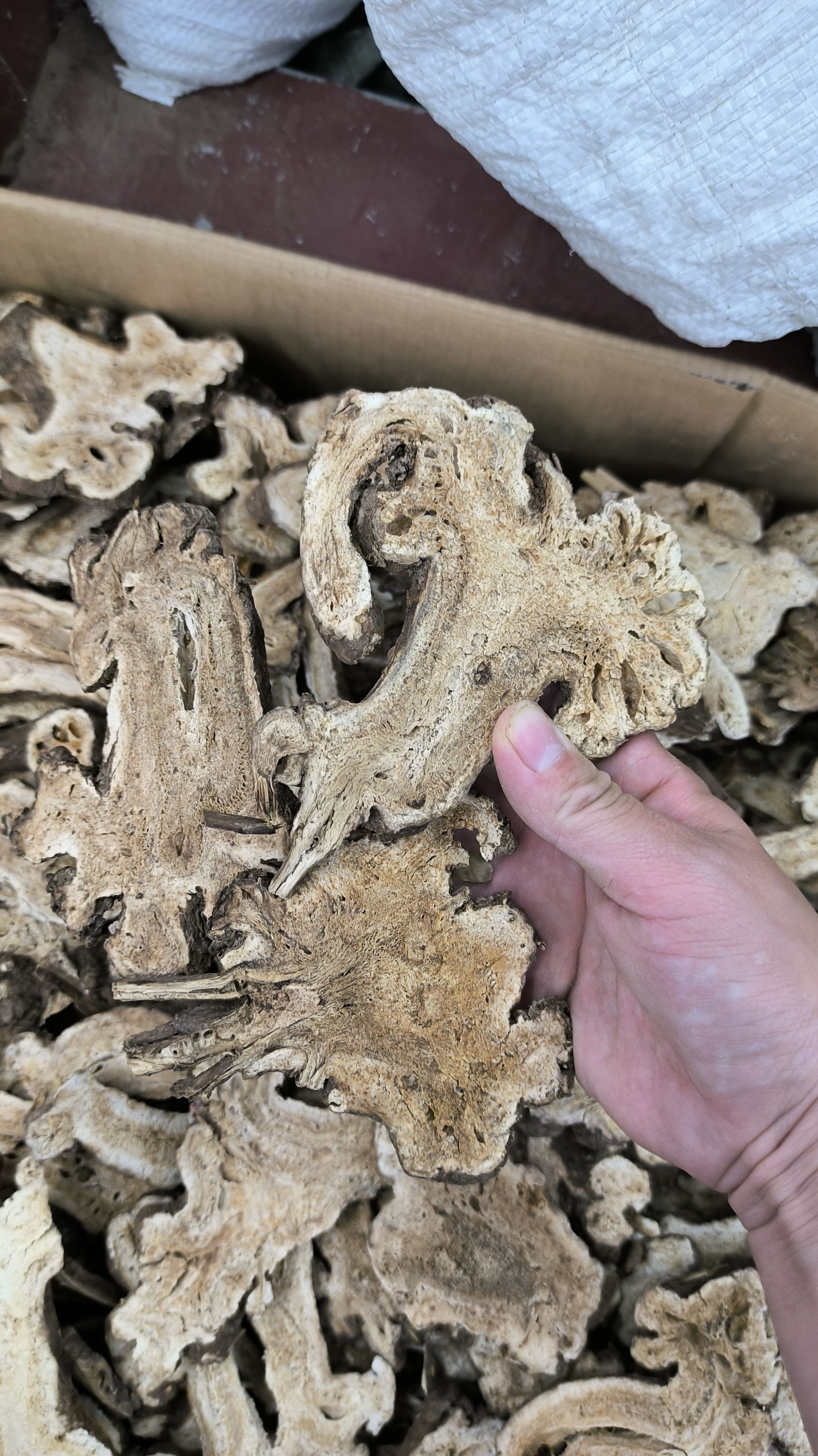 白术白术片 无硫白术根 白术粉 炒白术 规格齐全地道中药