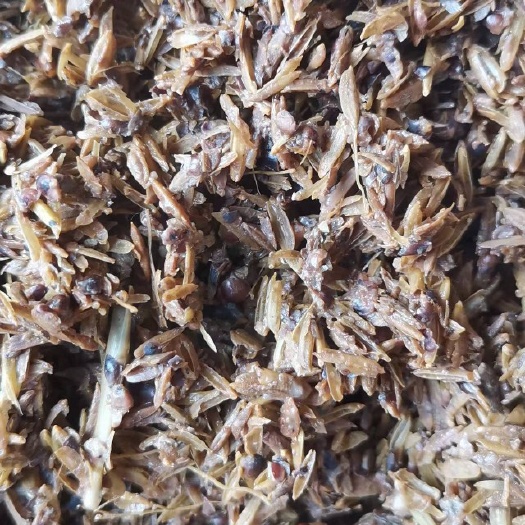 桂平市酒糟，可用于喂牛喂，鸭鸡鹅鱼，也可以做有机肥，