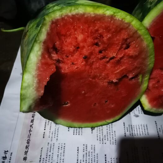 桂林P2西瓜