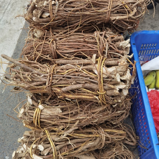 连南县五指毛桃，鲜货，