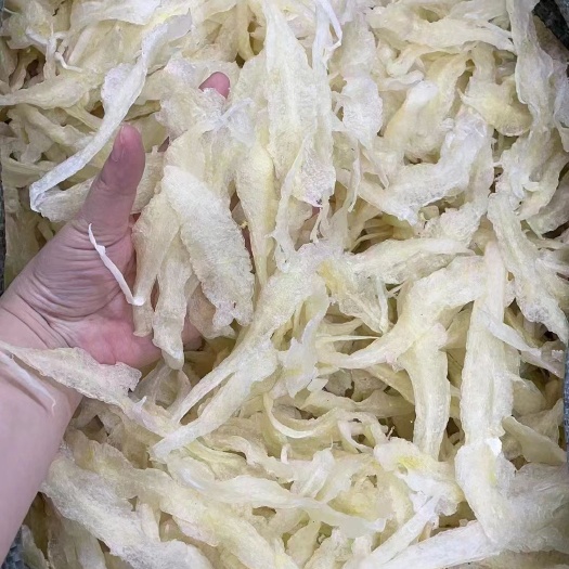 湛江180头小龙胶柳叶花胶深海黄花胶产地直销干货鱼鳔酒店餐饮鱼胶