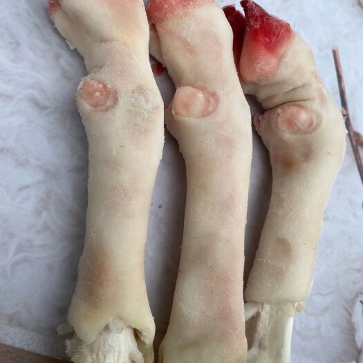 中牟县羊蹄