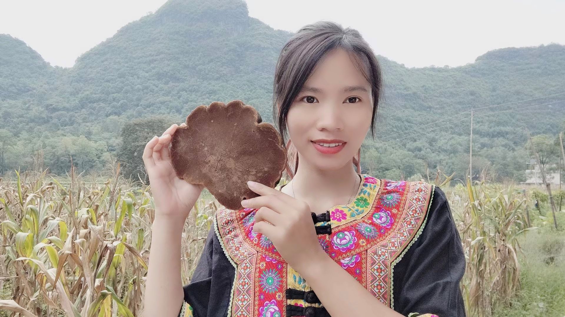 桑黄，