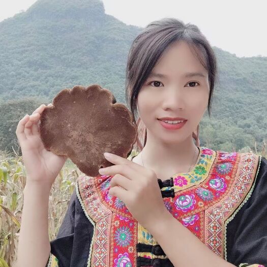 永福县桑黄，
