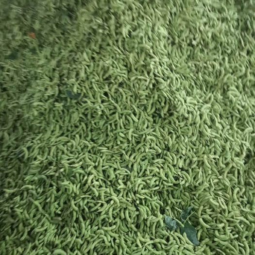 淮北毛豆