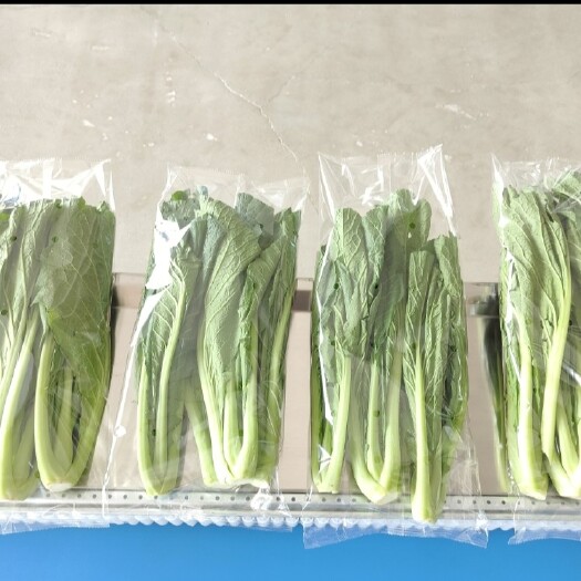 佛山新鲜蔬菜走超市需要包装用到的机器。蔬菜包装