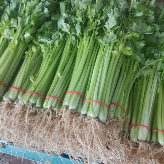 新泰市精品山芹产地直供