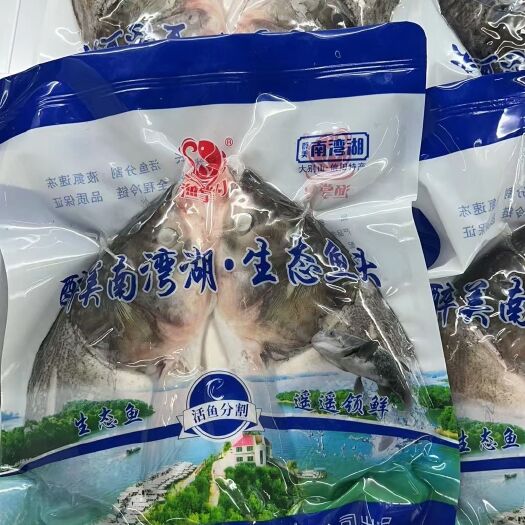 信阳信阳鱼头