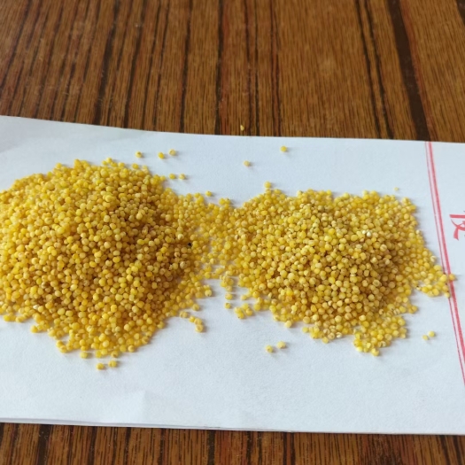 晋中都是今年新小米。