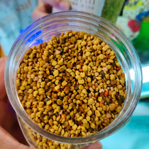 新疆尼勒克黑蜂山花粉  蜜源丰富