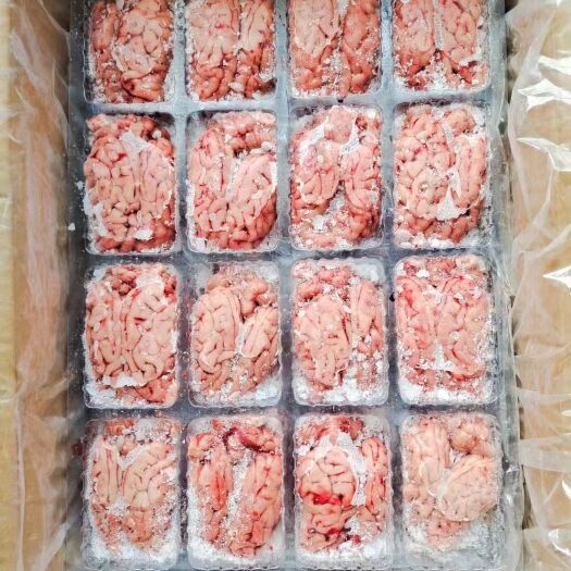 临沂盒装脑花