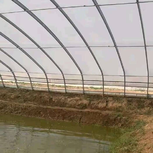 天津棚膜