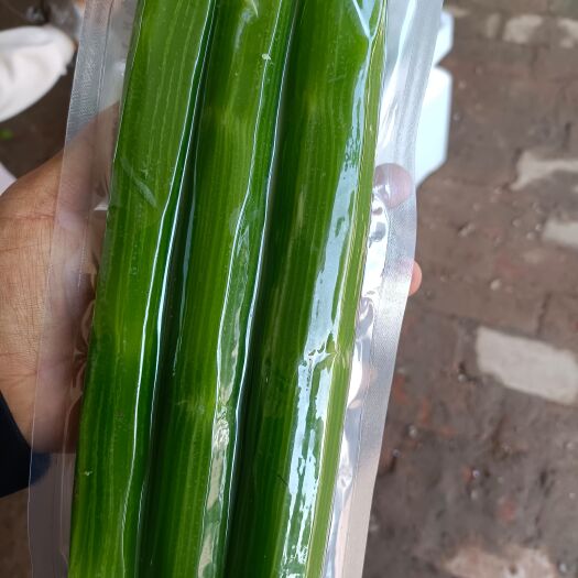 淄博精品真空包装三青笋