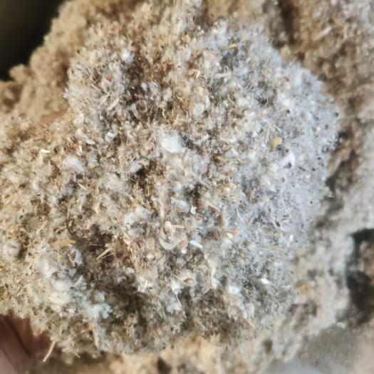 柏乡县棉籽壳