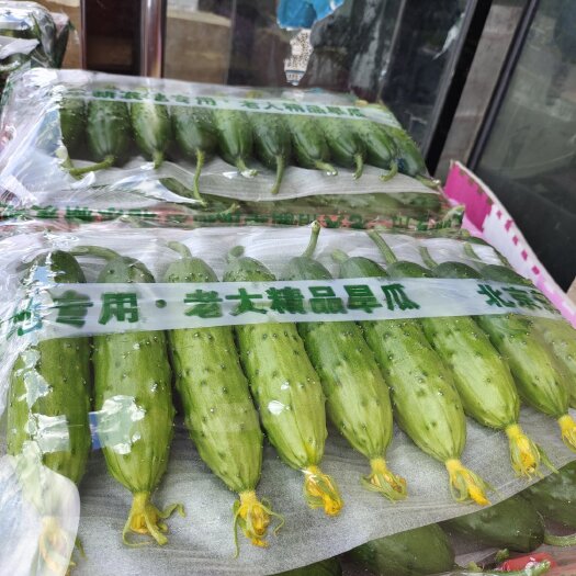 绥中县精品旱黄瓜