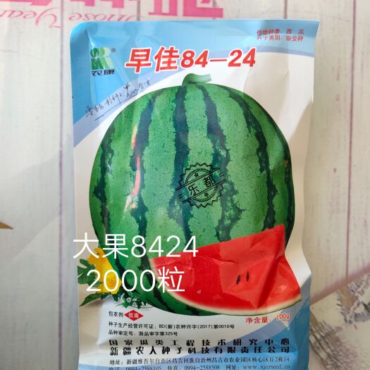 乐都早佳8424西瓜种子大果抗病抗裂含糖量高商品性强