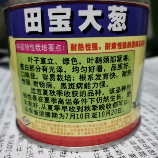 田宝大葱，抗热耐寒，夏季生长速度快，适宜夏秋上市