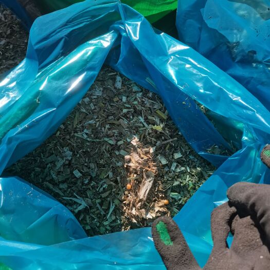 丰宁县微储玉米秸秆饲料