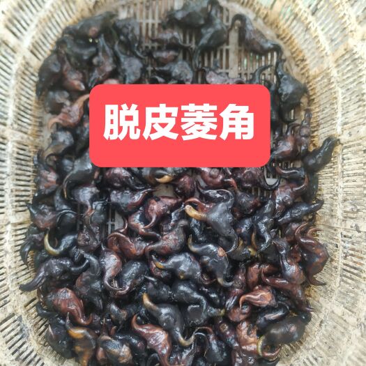 蕲春县湖北黄冈蕲春脱皮菱角新鲜菱角青菱角两角菱老菱角嫰菱角牛角菱
